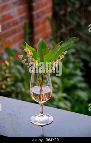 Un verre contenant des lis de la Vallée des fleurs est assis sur un rebord de fenêtre sur une chaude soirée d'été en Angleterre. Banque D'Images