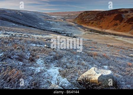 La rivière de Tees Homme Cronkley ont chuté, porte sur la région de Teesdale, County Durham UK Banque D'Images