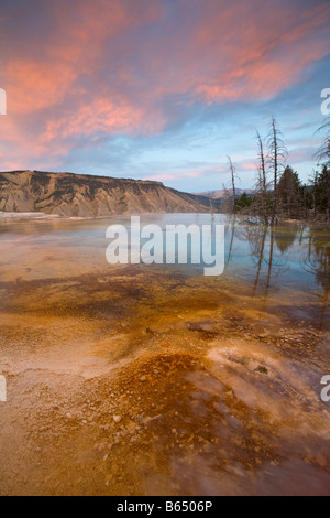 Le Parc National de Yellowstone WY : Couleurs de ciel du soir reflétée sur les piscines et terrasse supérieure de Mammoth Hot Springs Banque D'Images