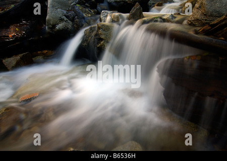 Une longue exposition d'une cascade misty on Mill Creek près de Big Bear Lake, en Californie. Banque D'Images