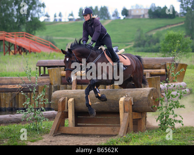 Horse Rider saute une clôture au cours d'une journée de concours complet Banque D'Images