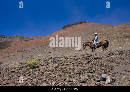 L'équitation au cratère du volcan Haleakala Maui Hawaii USA Banque D'Images