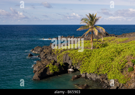 Waianapanapa State Park sur la route de Hana Maui Hawaii USA Banque D'Images