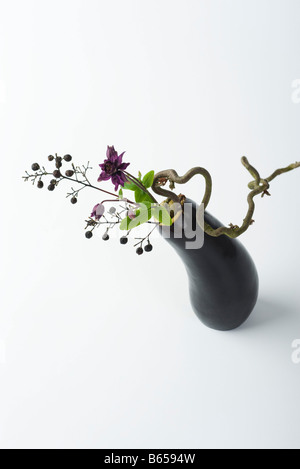 Aubergine, fleurs en croissance hors de haut Banque D'Images