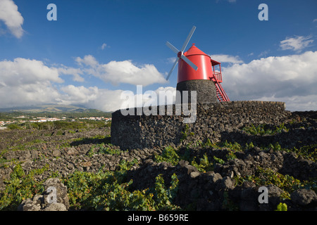 L'île de Pico Vineyard Culture Site du patrimoine de l'Unesco l'île de Pico Açores Portugal Banque D'Images