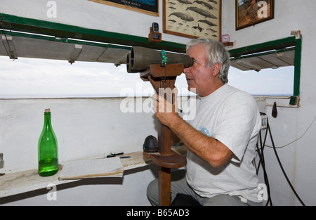 Tour d'observation des baleines sur l'île de Pico aux Açores Portugal Océan Atlantique Banque D'Images