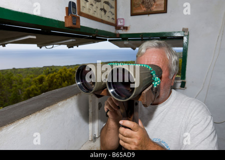 Tour d'observation des baleines sur l'île de Pico aux Açores Portugal Océan Atlantique Banque D'Images