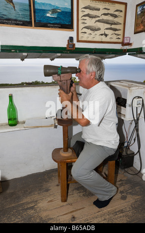 Tour d'observation des baleines sur l'île de Pico aux Açores Portugal Océan Atlantique Banque D'Images