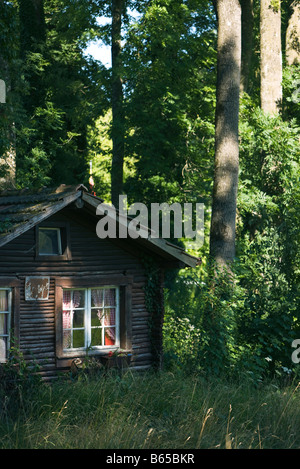 Log cabin in forest Banque D'Images