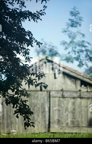 Ancienne grange en bois, les branches d'arbres en premier plan Banque D'Images