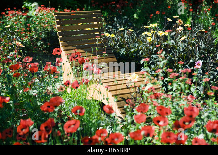 Chaise de terrasse en bois entourée de fleurs Banque D'Images