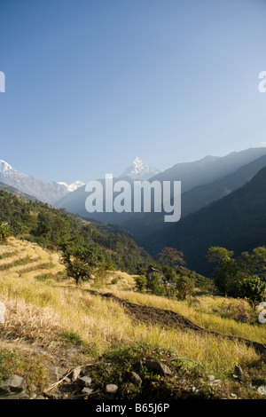 Randonnées en montagne en y de la modi River Valley près de Birethanti village dans la chaîne d'Annapurna de l'Himalaya au Népal Banque D'Images