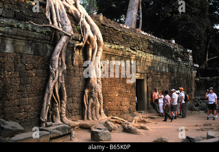 Les touristes d'admirer un mur à l'ANGOR Thom, Angkor Wat TEMPLE COMPLEXE, Siem Reap, Cambodge. Banque D'Images