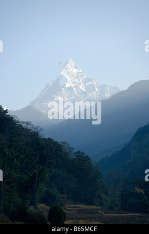 Randonnées en montagne en y de la modi River Valley près de Birethanti village dans la chaîne d'Annapurna de l'Himalaya au Népal Banque D'Images