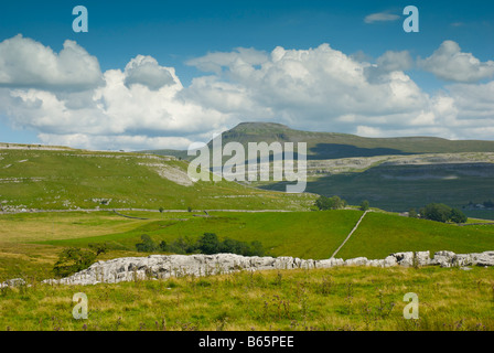 Ingleborough, l'un des trois sommets du Yorkshire, Yorkshire Dales National Park, North Yorkshire, England UK Banque D'Images