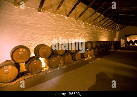 Winery and Vineyard Francisco Undurraga vallée du Maipo Chili Banque D'Images