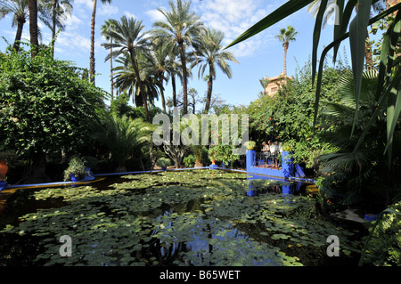 Étang dans le jardin Majorelle, Ville Nouvelle, Marrakech, Maroc Banque D'Images