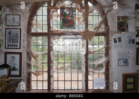 La vitre avec l'araignée à Murati winery à Cape Town, Afrique du Sud Banque D'Images