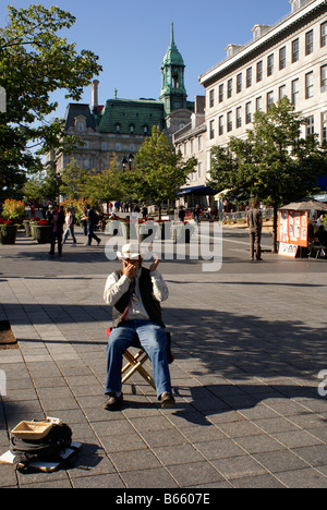 L'harmoniciste canadien-français dans la Place Jacques Cartier, le Vieux Montréal, Québec, Canada Banque D'Images