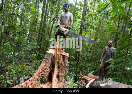 Bûcherons couper un arbre près de Morere, dans la concession d'exploitation extension Turama, Province du Golfe, la Papouasie-Nouvelle-Guinée Banque D'Images