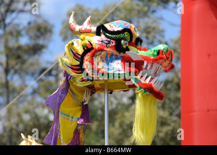 Tête de dragon pour célébrer le Nouvel An chinois. Banque D'Images