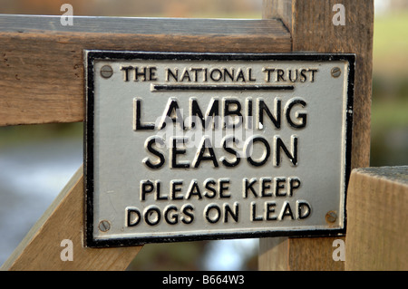 National Trust Saison d'agnelage au signe près de Derwentwater Keswick Cumbria dans le Lake District UK Banque D'Images