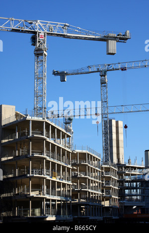 Grues à tour sur un chantier de construction. Southreef, Nottingham, Angleterre, Royaume-Uni Banque D'Images