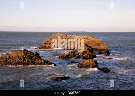 Les roches escarpées avec des oiseaux marins au large de la côte nord du Devon à Hartland Quay avec Lundy Island sur l'horizon lointain. Banque D'Images