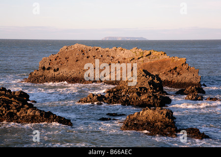 Les roches escarpées avec des oiseaux marins au large de la côte nord du Devon à Hartland Quay face à Lundy Island sur l'horizon. Banque D'Images