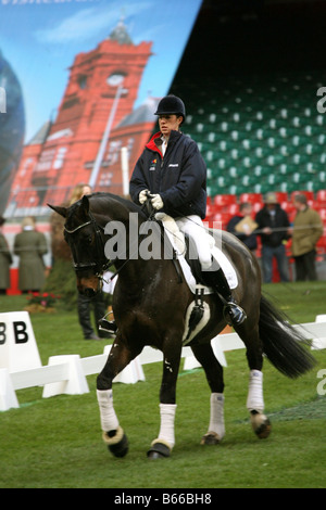 Cardiff South Wales GB UK 2008 Banque D'Images