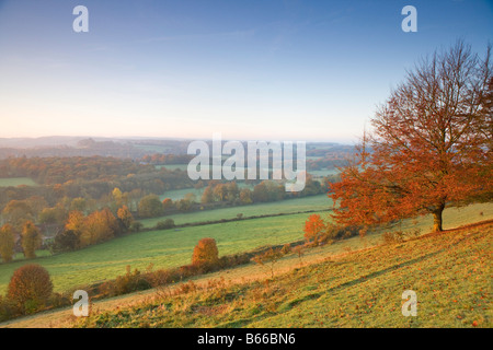 Scenic autumn vue à travers les collines du Surrey de Ranmore Common Dorking Surrey North Downs Novembre Banque D'Images