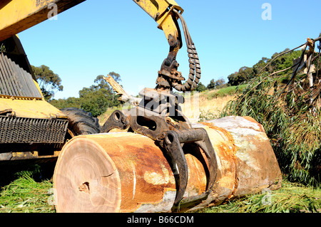 Les mâchoires du tracteur débardeur bleu de préhension de la gomme, (Eucalyptus) Log Banque D'Images