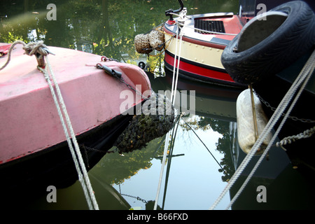 Close up d'amarrage de narrowboats sur Regents Canal Islington Londres Banque D'Images