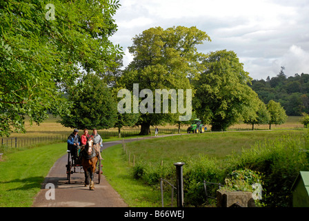 Jaunting de voiture à Killarney Park, au sud-ouest de l'Irlande Banque D'Images