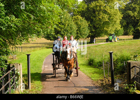 Jaunting de voiture à Killarney Park, au sud-ouest de l'Irlande Banque D'Images