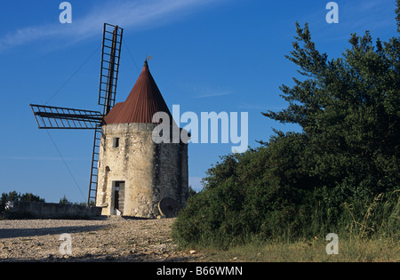 Le moulin de Daudet, Fontvieille, Alpilles, Provence, France Banque D'Images