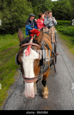 Jaunting de voiture à Killarney Park, au sud-ouest de l'Irlande Banque D'Images