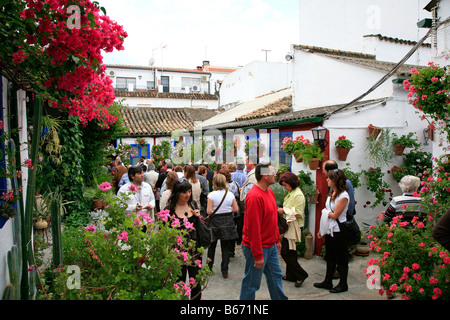 Les visiteurs de Los Patios Festival, Festival Cordoba Espagne Participation Banque D'Images