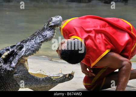 Thai man montrant l'extrême courage en mettant sa tête dans un crocodile de la bouche. Banque D'Images