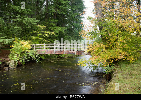 Pont de bois dans la région de Silver Falls State Park Banque D'Images