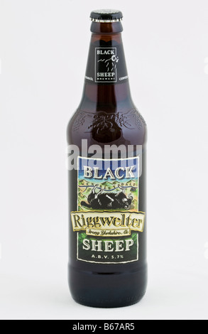 Bouteille de mouton noir forte Riggwelter Yorkshire Ale brassée à la Black Sheep Brewery Masham North Yorkshire Angleterre UK Banque D'Images