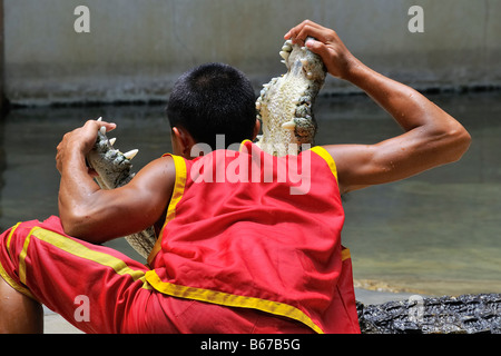 Thai man montrant l'extrême courage en mettant sa tête dans un crocodile de la bouche. Banque D'Images