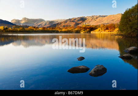 Soleil de l'après-midi illumine le Langdale Pikes et rive lointaine de Lake Road sur une journée ensoleillée d'automne dans le Lake District Cumbria UK Banque D'Images