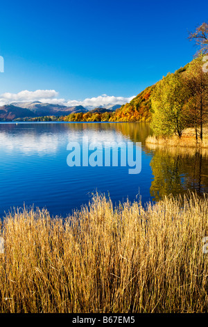 Une journée ensoleillée d'automne sur les rives du Doubs dans le Parc National de Lake District Cumbria England UK Banque D'Images