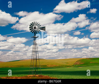 WASHINGTON Moulin parmi les champs de ferme dans la région de Eastern Washington Palouse Banque D'Images