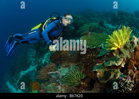 Plongeur au Coral Reef Alor Lesser Sunda Islands Indonésie indo-pacifique Banque D'Images