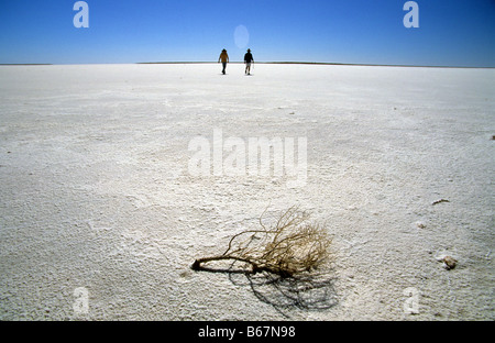 La croûte de sel sur la pointe sud du lac Eyre, Australie du Sud, Australie Banque D'Images