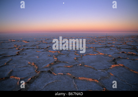 Croûte de sel sur la pointe sud du lac Eyre, Australie du Sud, Australie Banque D'Images