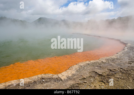 La vapeur s'élevant de la Champagne Pool Printemps, Wai-O-Tapu Thermal Wonderland, Waiotapu, près de Rotorua, île du Nord, Nouvelle-Zélande Banque D'Images