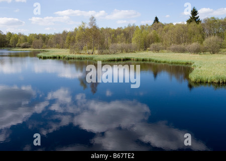 Lac à Rotes Moor, Rouge, près de la Tourbière, Gersfeld, Hesse, Allemagne Rhoen Banque D'Images